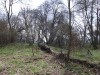 Tatárvár - Barcaszentpéter A Tatárvárban